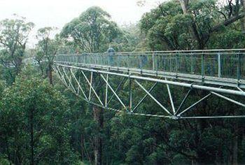 والبول Tree Top Walk Motel المظهر الخارجي الصورة